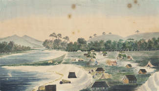 The journal of Mary Ann Field contains one of the few eye-witness accounts of the establishment of the Swan River settlements at Fremantle and Perth in early 1830 and three previously unknown and unpublished watercolours of them.