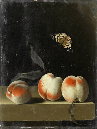 The Sotheby's affiliate Noortman Master Paintings (NMP) has been reported in London's Antiques Trade Gazette as being the purchaser at auction of Adriaen Coorte's Three Peaches on a stone ledge with a Painted Lady butterfly found by Bonhams Australia last year and consigned to its December Old Master sale in London. 