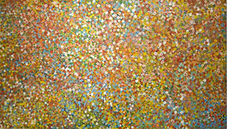 An auction highlight is Emily Kngwarreye’s beautiful early masterpiece, Transition 1991 (Lot 52) estimated at $120,000 - 160,000 and purchased from Brisbane collector, Robin Purvis.