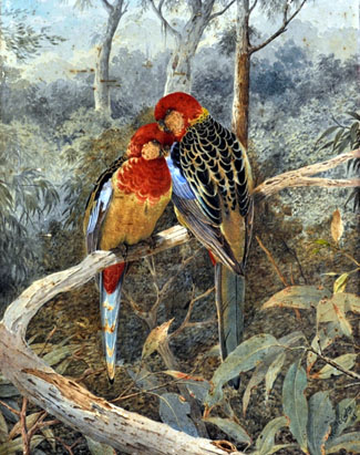 The Davidson Auctions' Collector and Estate auction in Sydney on August 24 included 35 lots of watercolours by Neville Henry Cayley (1854–1903) and his son Neville William (1886–1950) with all the lots selling and a new record set for Cayley Senior, with the first lot in the sale, <i>Nesting Pair of Rosellas in a Bush Landscape</i>, 1889 selling for $20,000 ($23,960 incl. BP).