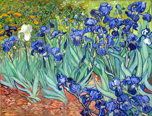 In the late 1980s the late Alan Bond enjoyed the unearned profile as the world’s most important art collector, but his interest had more to do with money and being accepted in polite society. He acquired his profile through the purchase of Van Gogh’s Irises for $US53.9 million in 1987. Bond appeared a handful of times in New York based ARTnews' top 200 art collectors list and was one of only a handful of Australians ever to do so. 