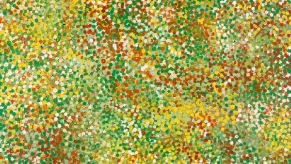 Lovers of the art of Emily Kngwarreye (c1910-1996) have several paintings from which to choose at the Deutscher and Hackett Aboriginal Art auction in Melbourne on  Wednesday March 17, including Early Summer Flowers 1990 (above), estimated at $250,000 - $350,000. It is the sixth work she created in the summer of 1990-91 for the Delmore Gallery via Alice Springs.